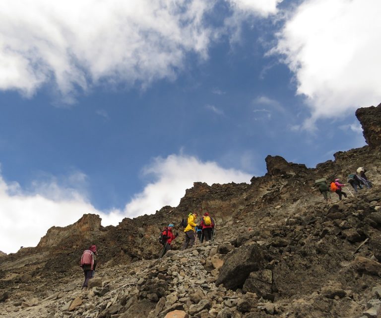 8 Days Lemosho Route Kilimanjaro Trek