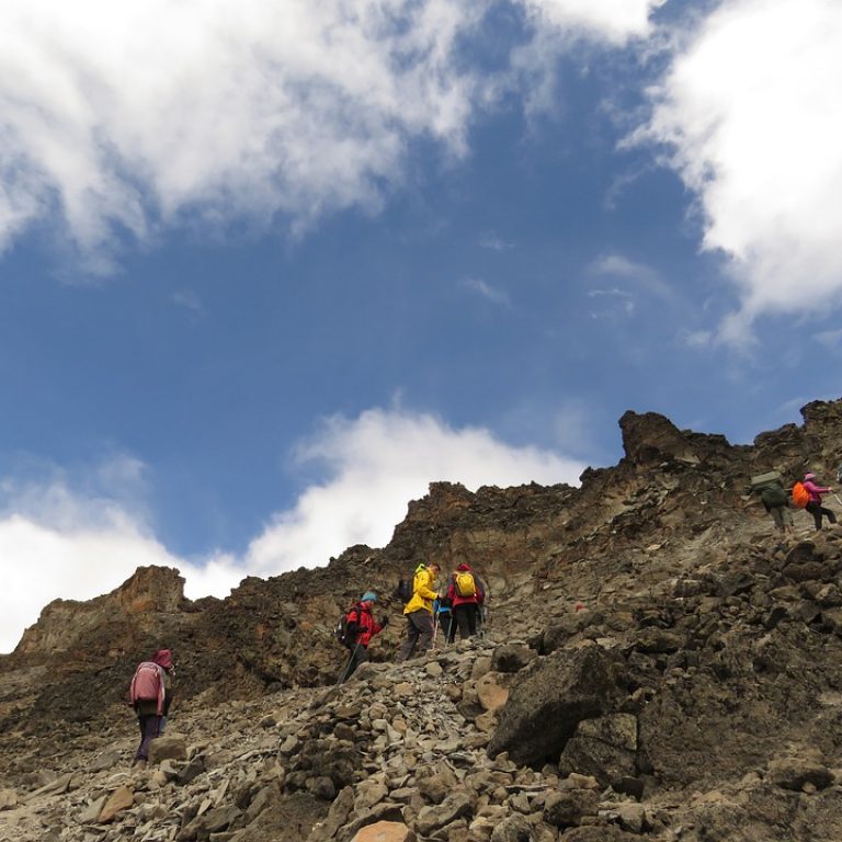 8 Days Lemosho Route Kilimanjaro Trek