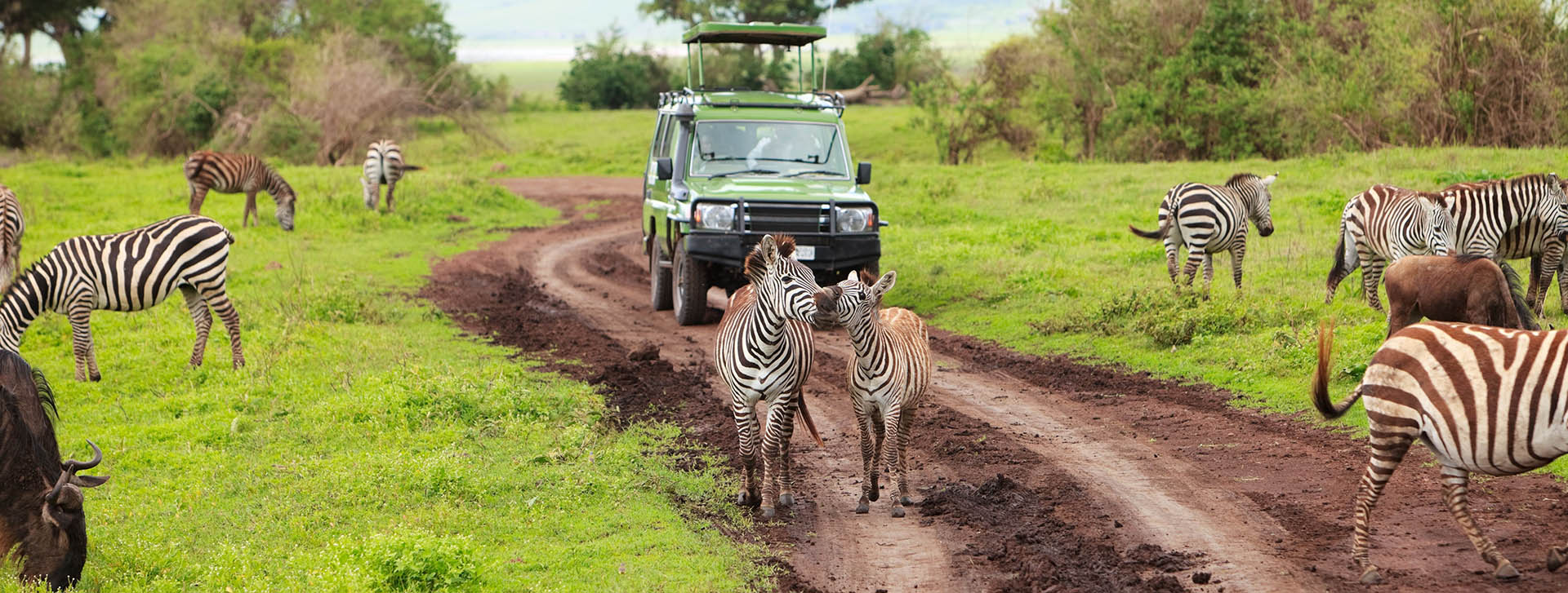 wilderness safaris tipping