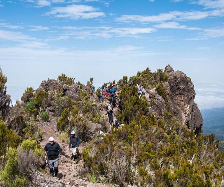 7 Days Shira Route Kilimanjaro Trek