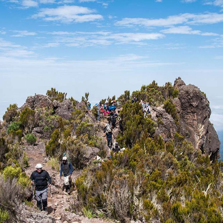 7 Days Shira Route Kilimanjaro Trek