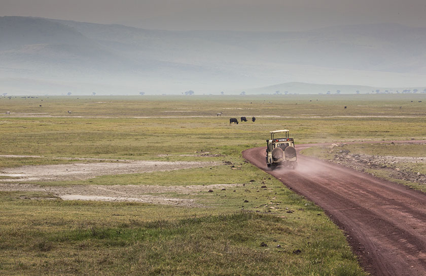 African Safari -- Tanzanian Safari with Safari Heroes