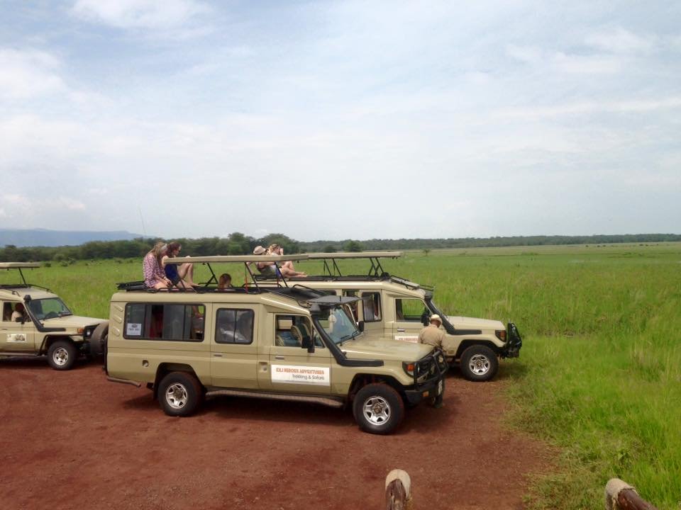 African Safari -- Tanzanian Safari with Safari Heroes