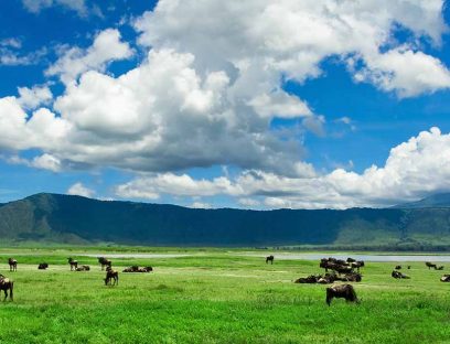 3 Days Safari Tarangire, Ngororngoro & Lake Manyara