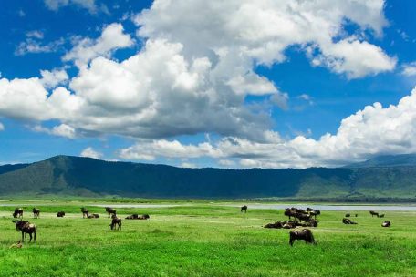 3 Days Safari Tarangire, Ngororngoro & Lake Manyara