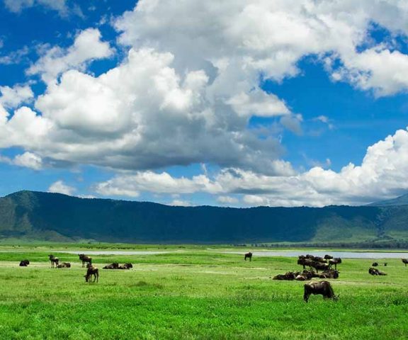 3 Days Safari Tarangire, Ngororngoro & Lake Manyara